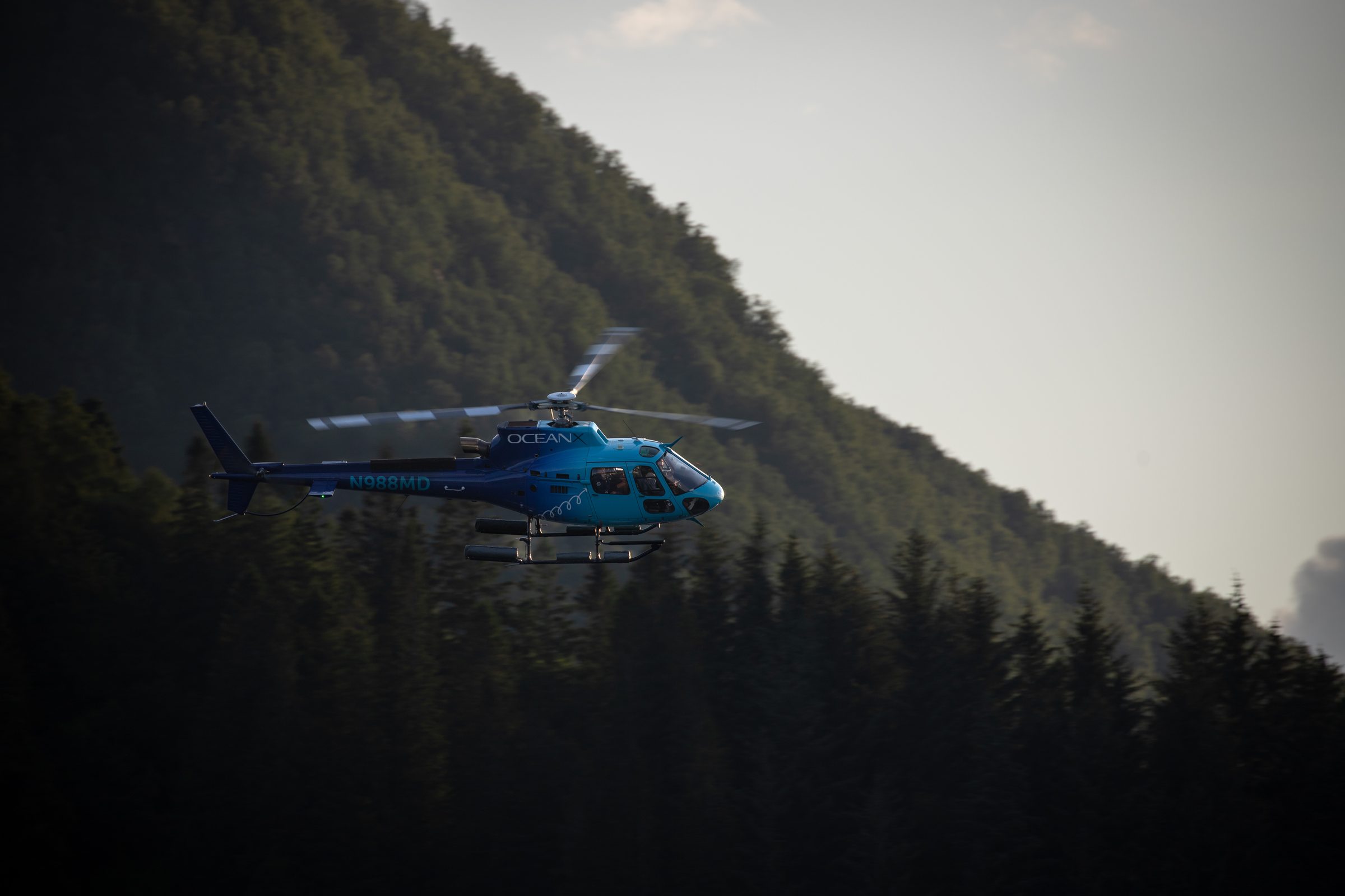 OceanX helicopter flying low over a forested mountainside